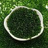 Glass Seed Beads SEED-K009-11B-02-2