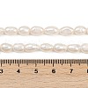 Natural Cultured Freshwater Pearl Beads Strands PEAR-P064-20H-03A-5