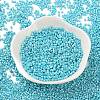 Baking Paint Glass Seed Beads SEED-S042-15B-34-2