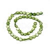 Natural Freshwater Shell Dyed Beads Strands SHEL-K001-001A-2