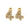 304 Stainless Steel Pendants STAS-L080-002G-04-1