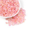Frosted Glass Seed Beads SEED-N008-05B-1