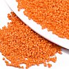 11/0 Grade A Glass Seed Beads X-SEED-S030-1019-1