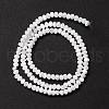 Natural Trochid Shell/Trochus Shell Beads Strands SSHEL-O001-24B-02-2