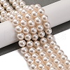 Baking Painted Pearlized Glass Pearl Round Bead Strands PEAR-H019-02C-02-1