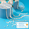 Fashewelry 3 Strands 3 Style Natural Freshwater Shell Beads Strands SHEL-FW0001-01-4