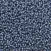TOHO Round Seed Beads SEED-JPTR11-2102-2