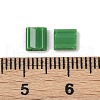  520Pcs 2 Style 2-Hole Glass Seed Beads SEED-NB0001-72B-4