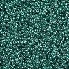MIYUKI Round Rocailles Beads SEED-X0054-RR0322-2