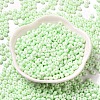 Baking Paint Glass Seed Beads X1-SEED-B001-02A-11-2