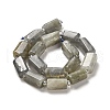 Natural Labradorite Beads Strands G-N327-06-06-3