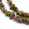 Natural Unakite Beads Strands X-G-P332-33-2