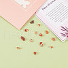 Natural Red Agate Beads G-CJ0001-16-8