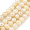Natural Cultured Freshwater Pearl Beads Strands PEAR-C003-09F-2