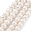 Natural Cultured Freshwater Pearl Beads Strands PEAR-C003-13C-2