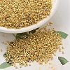 MIYUKI Delica Beads SEED-X0054-DB0031-1