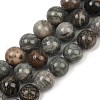 Natural Gemstone Beads Strands G-F792-C11-06-2