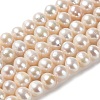 Natural Cultured Freshwater Pearl Beads Strands PEAR-E018-38-1