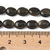 Natural Golden Sheen Obsidian Beads Strands G-Z006-A40-5