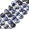 Natural Blue Spot Jasper Beads Strands G-P570-E19-01-2