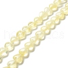 Transparent Glass Beads Strand GLAA-F112-01D-2