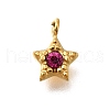 304 Stainless Steel Charms STAS-R159-58G-01-1