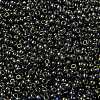 MIYUKI Round Rocailles Beads SEED-JP0009-RR2447-3