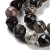 Natural Petrified Wood Beads Strands G-NH0021-A12-02-4