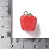 Resin Iron Pendants RESI-D280-05-3