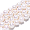 Natural Cultured Freshwater Pearl Beads Strands PEAR-N016-09A-3