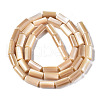 Natural Trochid Shell/Trochus Shell Beads Strands SSHEL-S266-020B-04-2