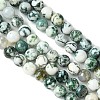 Natural Tree Agate Beads Strands G-K194-8mm-02-2