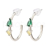 Platinum Brass Ring Stud Earrings EJEW-L270-10P-2
