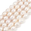 Natural Cultured Freshwater Pearl Beads Strands PEAR-P064-20K-05A-2