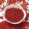 Transparent Colours Glass Seed Beads X1-SEED-P006-02A-06-2