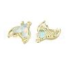 Rack Plating Alloy Pendants FIND-C062-07G-07-2