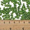 Glass Seed Beads SEED-K009-10B-01-4