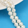 Shell Pearl Beads Strands PEAR-XCP0001-12-1