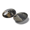Natural Dendritic Jasper Cabochons G-F608-02A-01-2