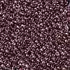 TOHO Round Seed Beads SEED-TR11-0201-2