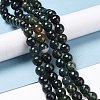Natural Moss Agate Beads Strands G-E571-21C-2