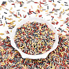 Baking Paint Glass Twist Bugle Beads SEED-N007-24B-2