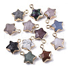 Natural & Synthetic Mixed Gemstone Pendants G-N326-36-1