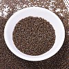 MIYUKI Delica Beads SEED-X0054-DB0287-2