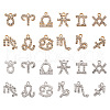 Fashewelry 2 Sets 2 Colors Zinc Alloy Pendants ALRI-FW0001-02-2
