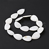 Natural Freshwater Shell Beads Strands X-SHEL-H001-12-3