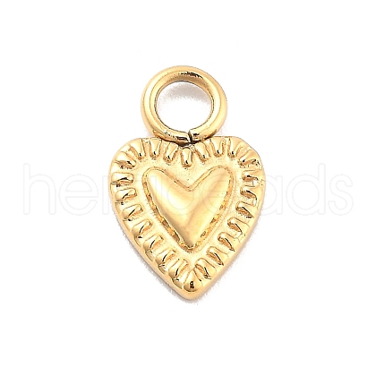 Ion Plating(IP) 304 Stainless Steel Pendants STAS-P379-25G-1