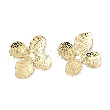 Brass Bead Caps KK-V015-02G-01-1