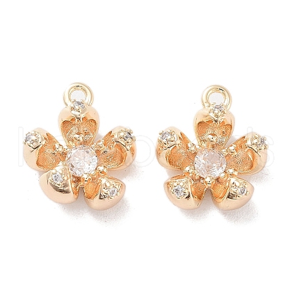 Brass Micro Pave Cubic Zirconia Charms X-KK-F871-34G-1