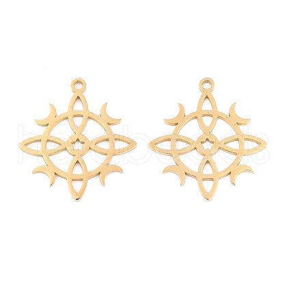 304 Stainless Steel Pendants STAS-N108-39G-1